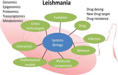 Perspectives From Systems Biology to Improve Knowledge of Leishmania Drug Resistance